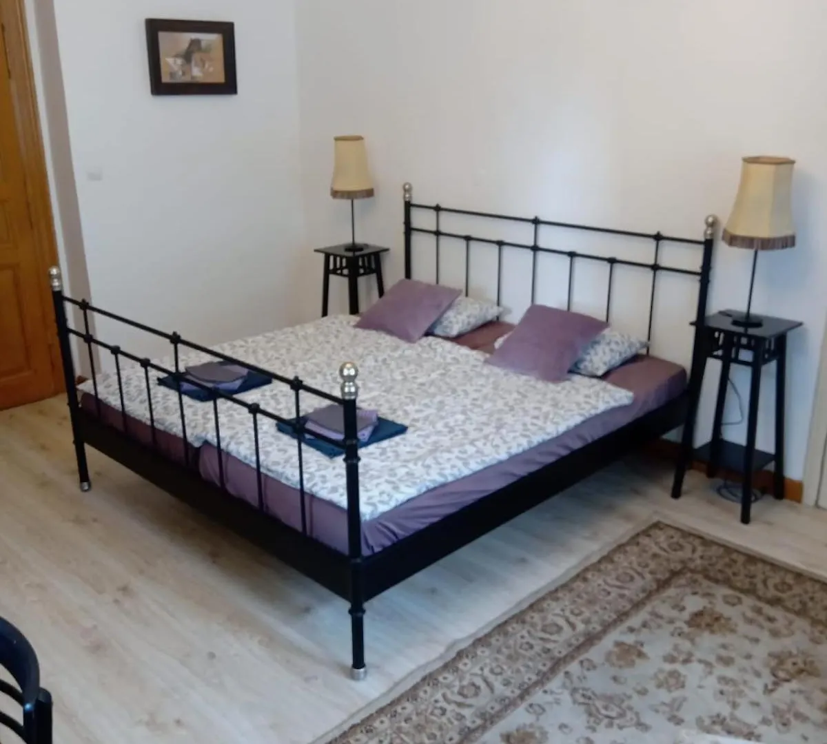 Historic Villa Apartments Praag