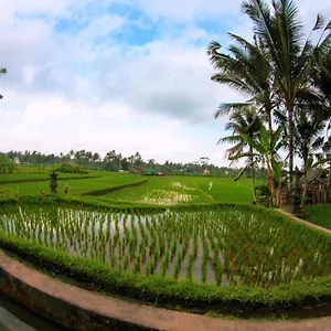 vinarya-ubud-bali.ubudhotelsnow.com/